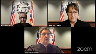 Zoom oral arguments.